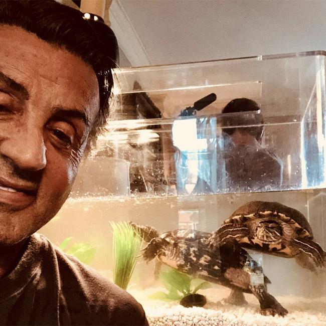 Sylvester Stallone kept the two turtles from Rocky 
