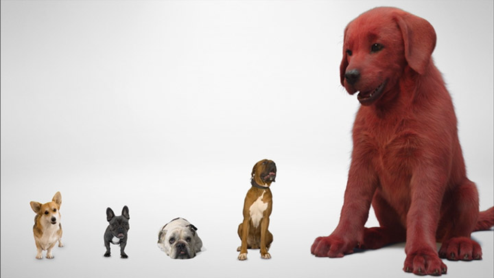 teaser image - Clifford The Big Red Dog First Look