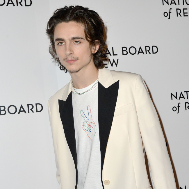 Timothee Chalamet in talks to reunite with Call Me By Your Name director on new horror