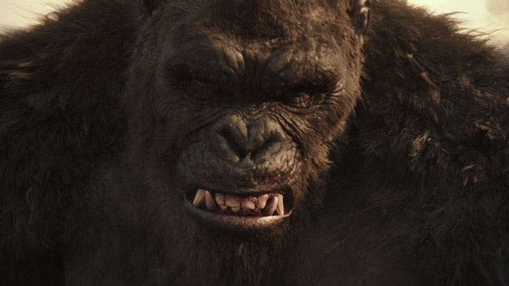 teaser image - Godzilla vs Kong "Salvation" Spot