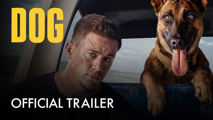 teaser image - Dog Official Trailer