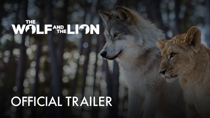 teaser image - The Wolf And The Lion Official Trailer
