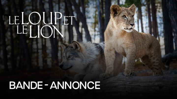 teaser image - Le Loup Et Le Lion Bande-annonce