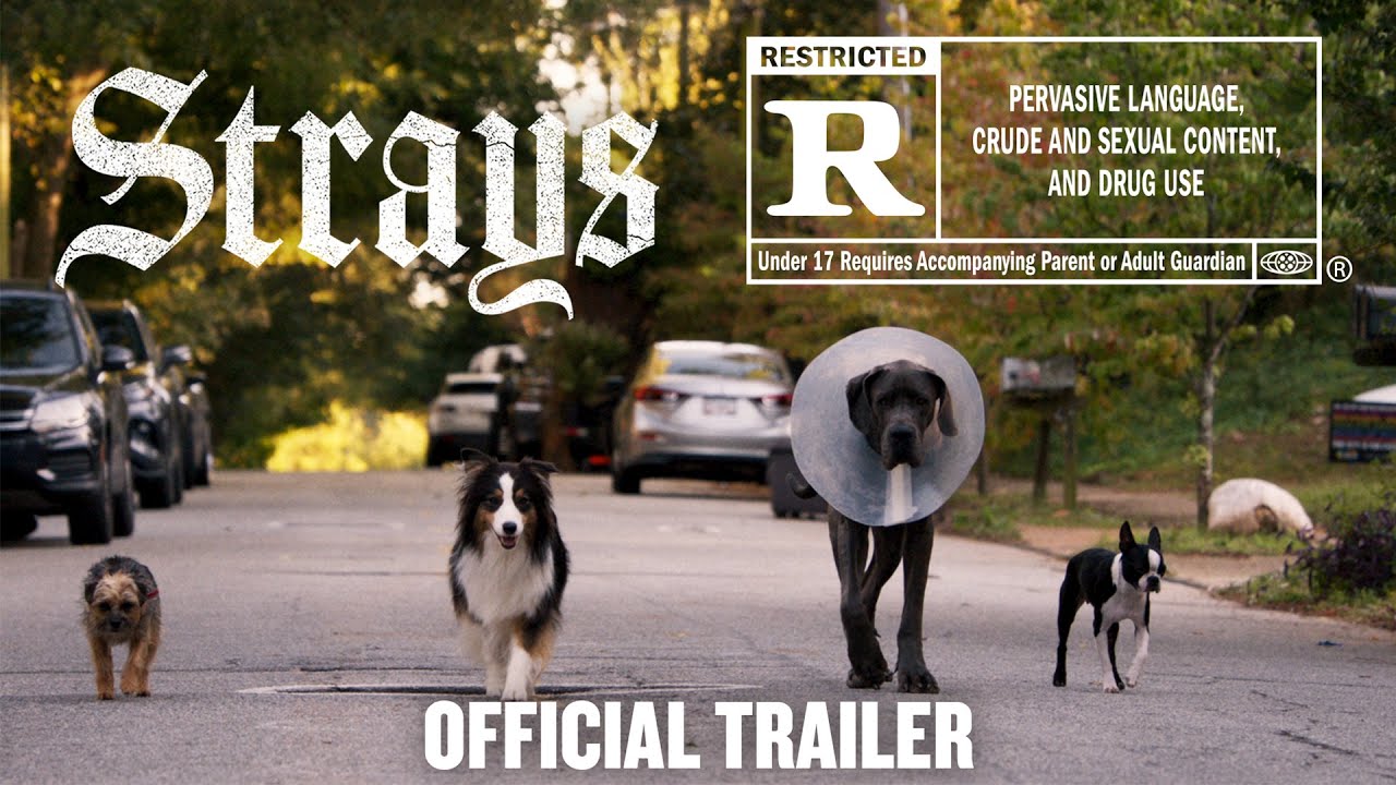 teaser image - Strays Official Trailer