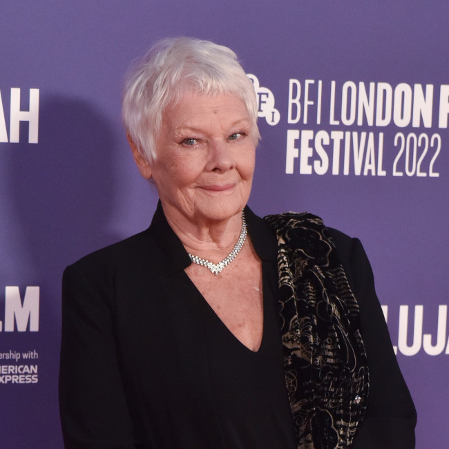 Dame Judi Dench’s sight loss battle: ‘I can’t see on a film set anymore!’