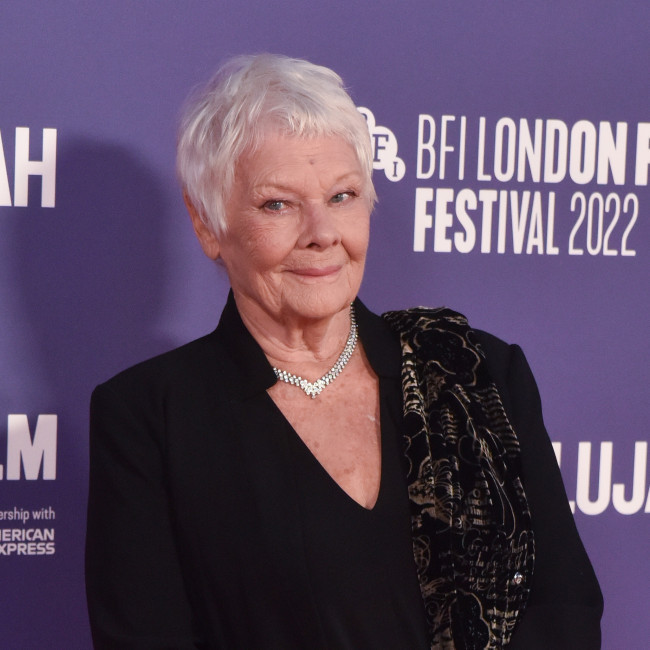 Dame Judi Dench says she has no plans for more acting jobs as she ‘can’t even see’