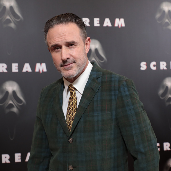 David Arquette starring in The Perfect Gamble