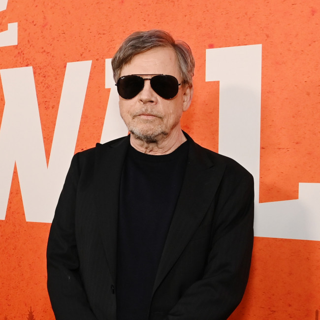 Mark Hamill 'didn't expect' his career resurgence
