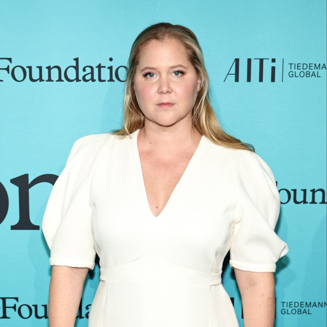 Amy Schumer turning divorce into her next big comedy movie